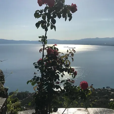 The Of Blues * Kalamata